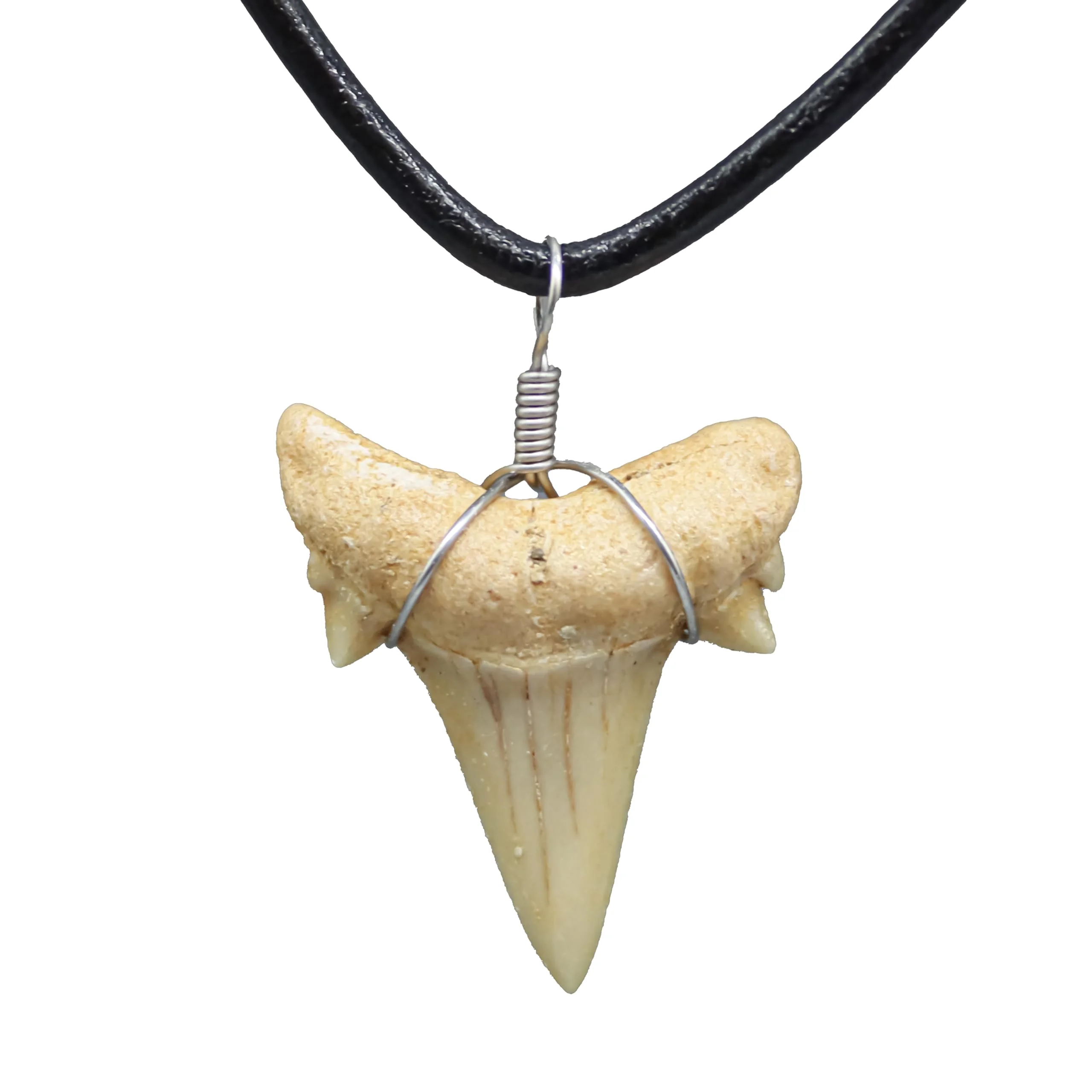 Choosing the Right Shark Tooth Necklace